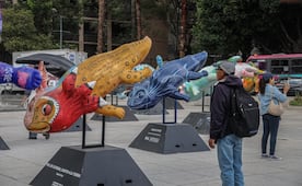 Dónde ver la expo de ajolotes gigantes en la CDMX
