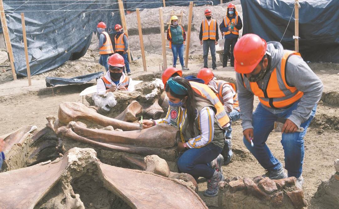 El equipo de salvamento arqueológico está integrado por 41 arqueólogos, cinco restauradores y 300 trabajadores manuales. Fotos: CORTESÍA INAH