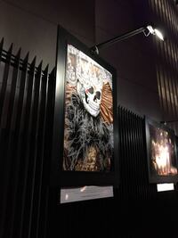 Homenaje por Día de Muertos en las rejas del Senado