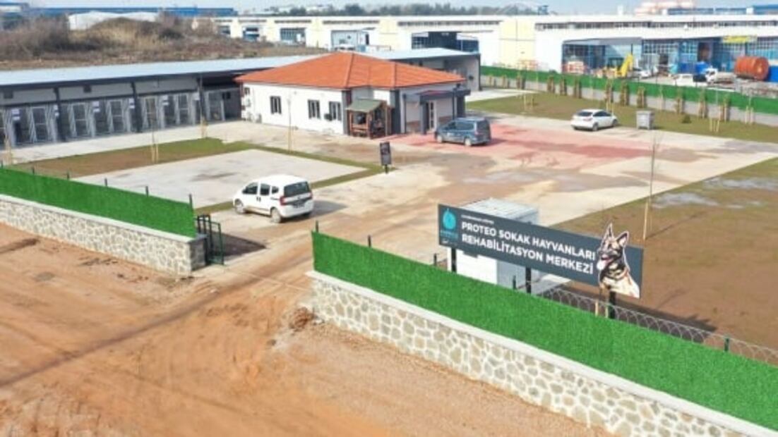 Proteo: Refugio de animales en Turquía lleva el nombre del perro rescatista