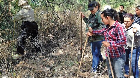 Rastreadoras. Madres en duelo, buscan a sus desaparecidos