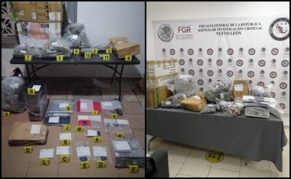 FGR desmantela invernadero de marihuana en Monterrey, Nuevo León