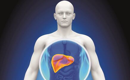 Identifican vínculo entre síndrome metabólico y cáncer hepático