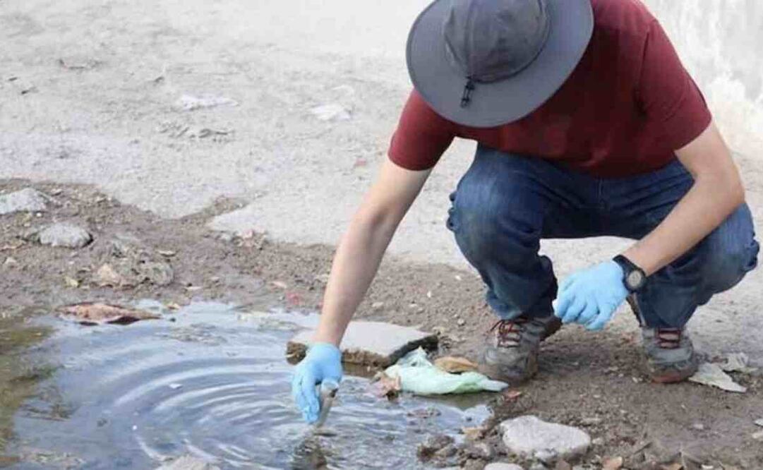 La titular de Secretaría de Salud de BCS, Zazil Flores Aldape, exhortó a la población a evitar el contacto con el suelo, agua contaminada o estancada, sobre todo después de algunas lluvias. Foto: Especial