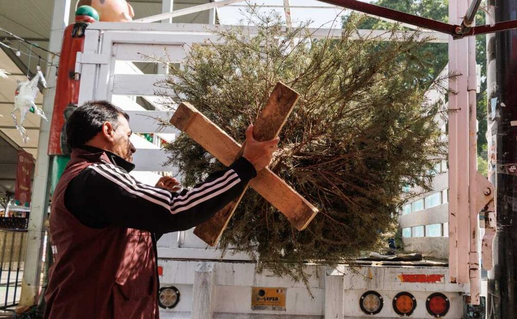 Desde muy temprano, personas fueron a dejar sus arboles de navidad  (07/01/2025). Foto: Yaretzi M. Osnaya / EL UNIVERSAL