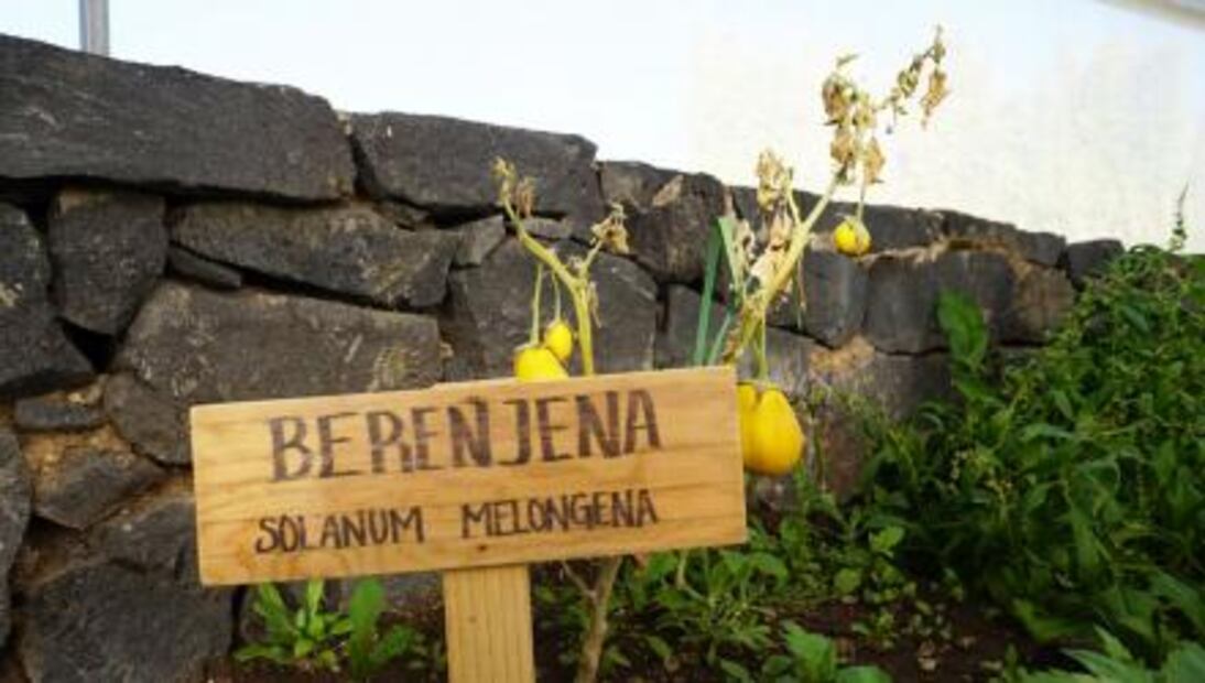 El reposicionamiento de la cocina poblana