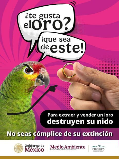 Campaña de Profepa. Foto: Especial