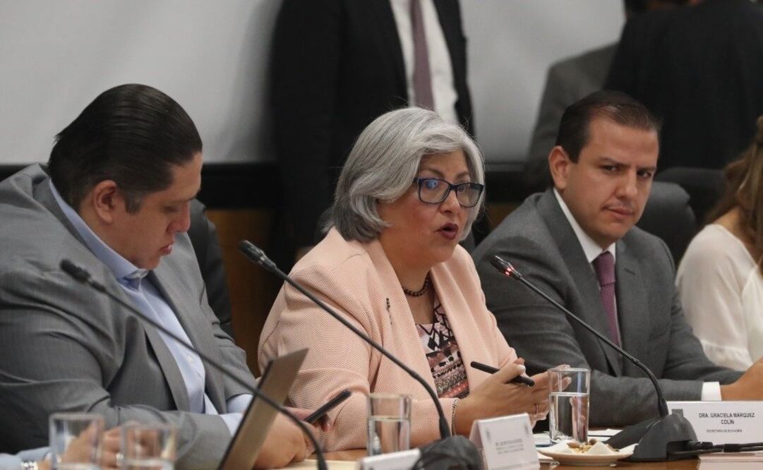 Foto: Twitter @SE_mx