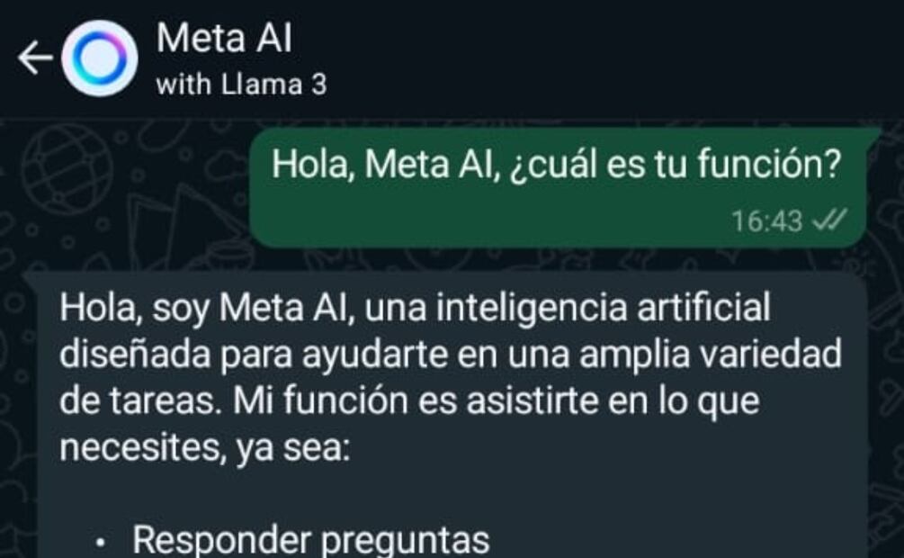 IA de WhatsApp. Foto: Meta IA