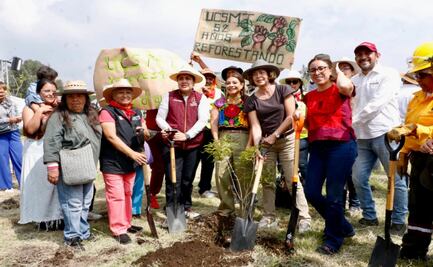 CDMX planta 35 mil árboles en Jornada Nacional de Reforestación; Clara Brugada anuncia nuevo programa de arbolado urbano