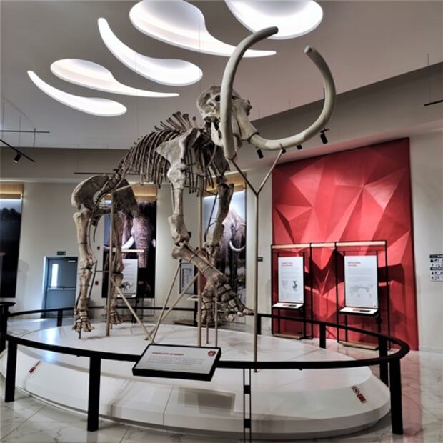El esqueleto de más de tres metros forma parte de una de las salas del museo. Foto Inah