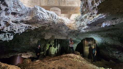 Tren Maya:  un daño brutal