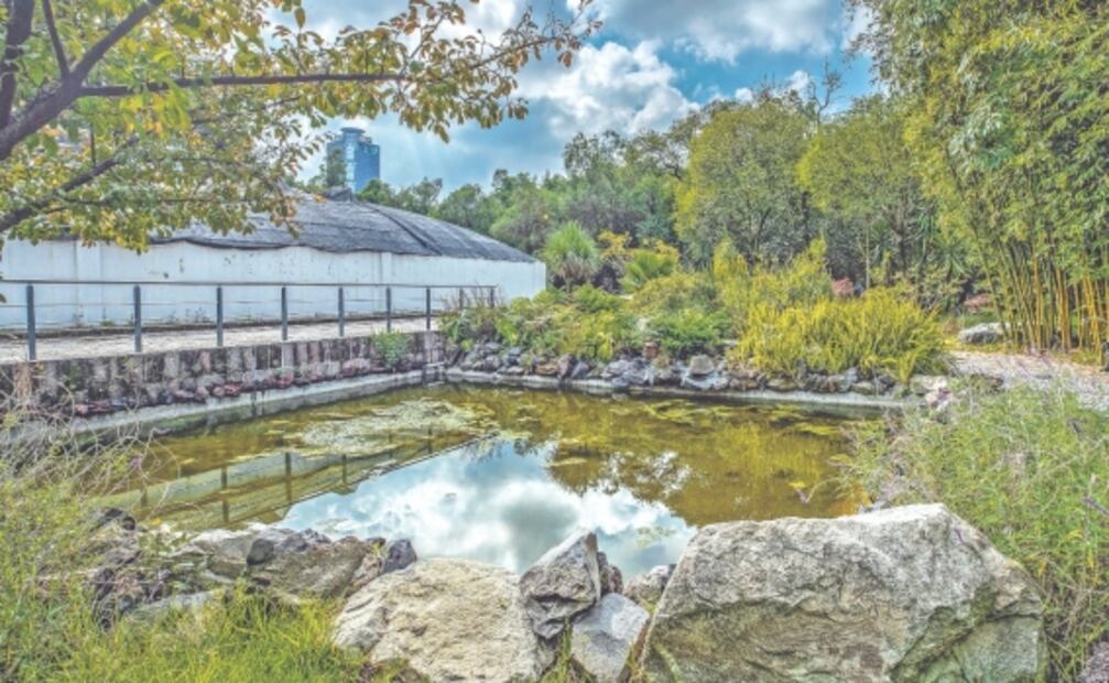 5 jardines botánicos en México para visitar esta primavera