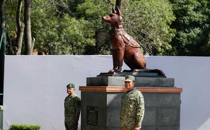 Video: Develan estatua de Proteo en Campo Marte, perro rescatista de la Sedena fallecido en Turquía
