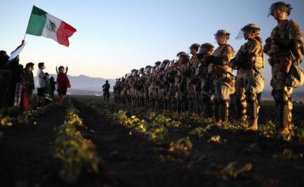 Tras resultar herido en redada de una plantación de cannabis, trabajador mexicano está con soporte vital; cayó de 9 metros