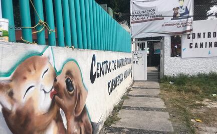 Denuncian maltrato y sacrificio de perros en centro canino de Naucalpan