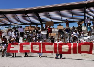 Denuncian intento de destruir manglar para actividades ligadas al Tren Maya