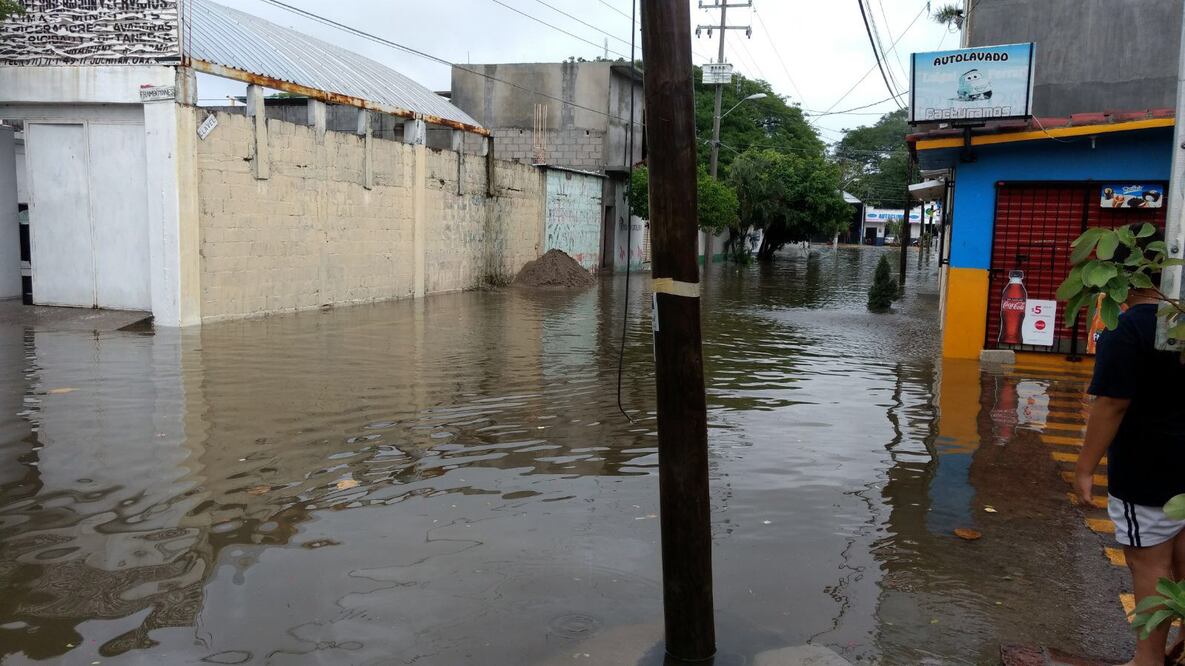 Foto: Roselia Chaca/El Universal