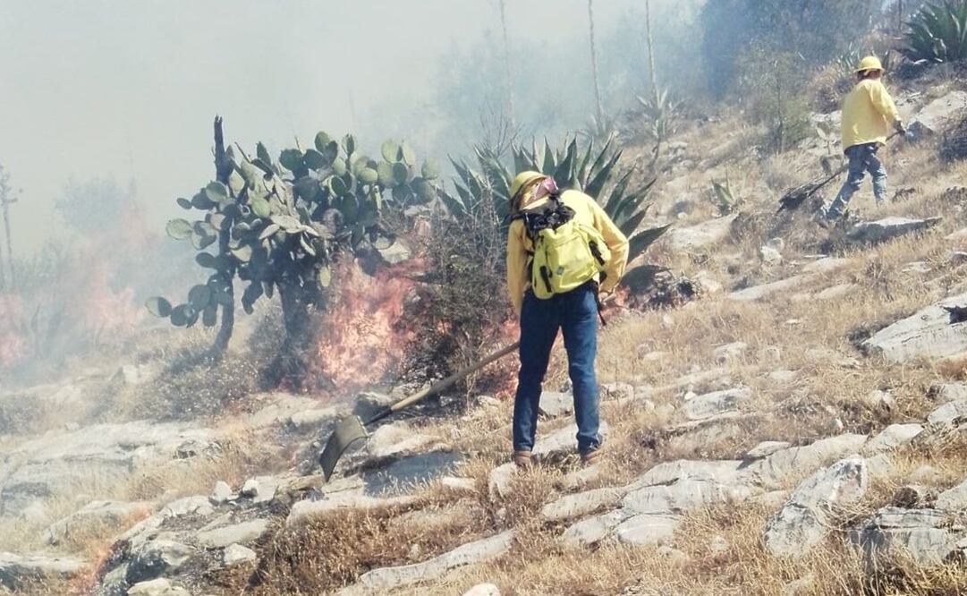 Foto: Secretaría de Medio Ambiente @AmbienteGobPue