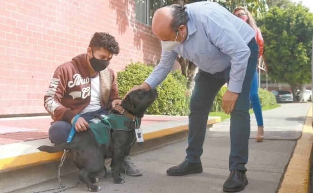 "Cuco", el can que ayuda en donación de sangre