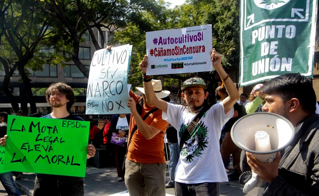 Manifestantes afuera de la Corte, tras el fallo a favor de cuatro personas para uso lúdico de la droga. FOTO: Archivo