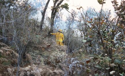 Controlan incendio en el Bosque La Primavera, en Zapopan