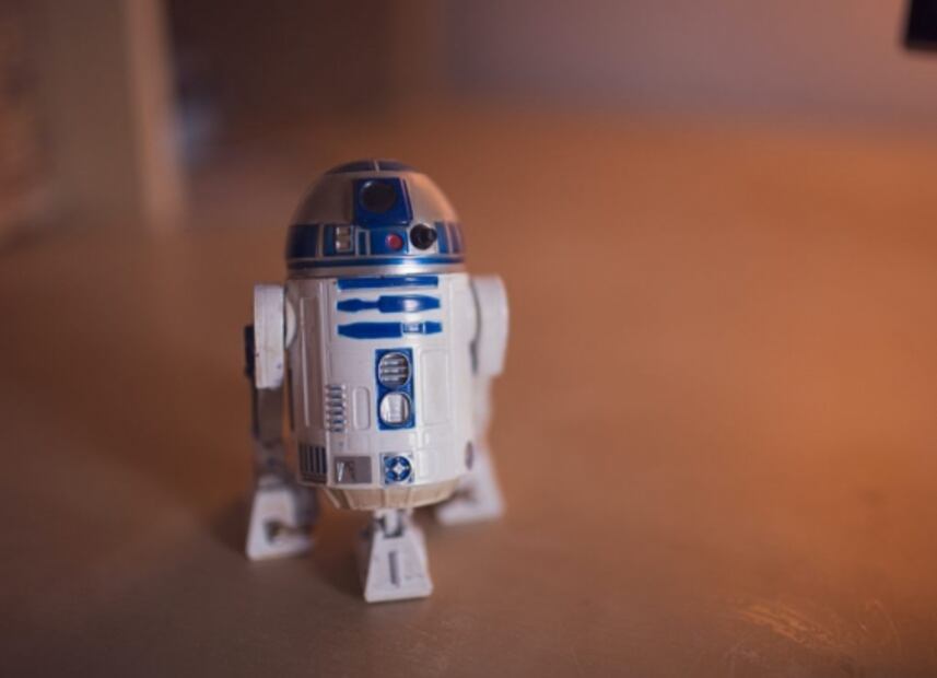 Universum está de regreso y abre con nueva exposición