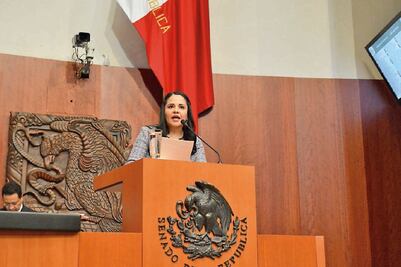 Merodio pide mejorar Ley de Inclusión