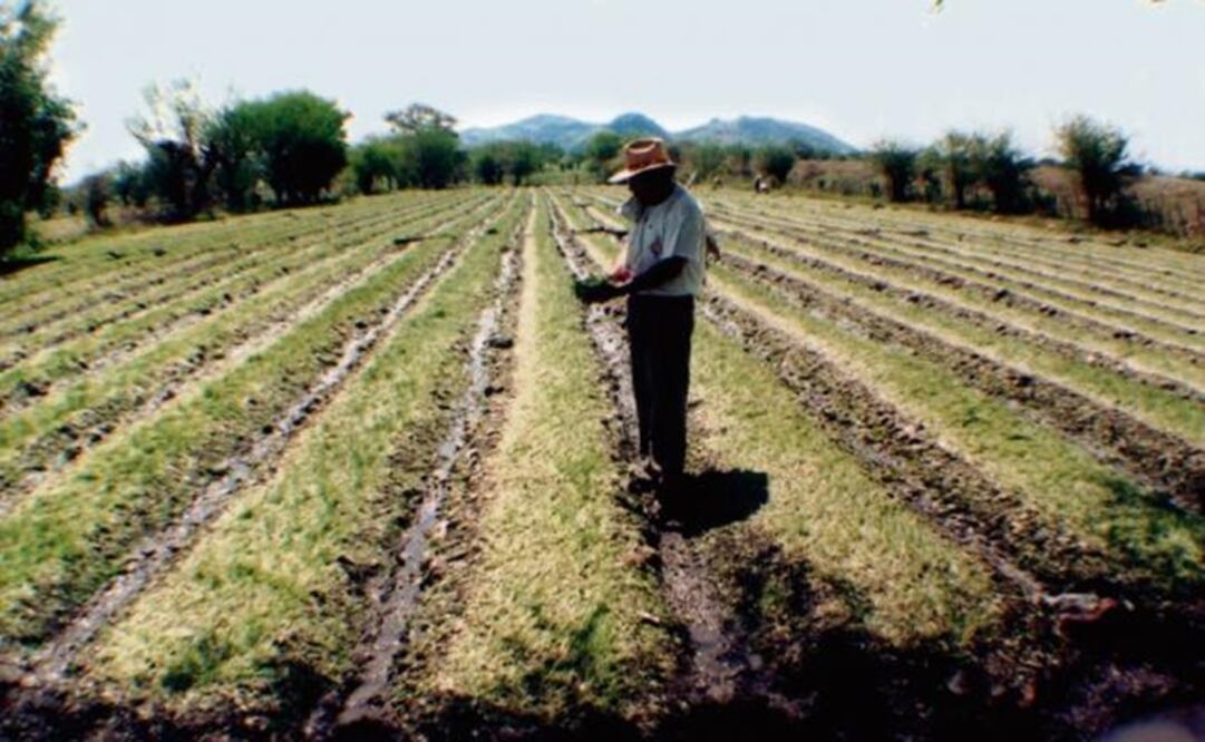 (FOTO: ARCHIVO EL UNIVERSAL)