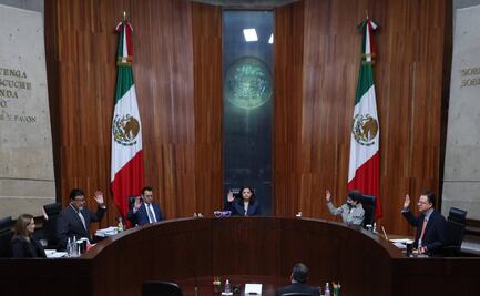 Tribunal Electoral deberá resolver