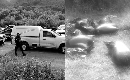 Investigan a policías por caso de cuatro cuerpos descuartizados y embolsados en Veracruz 