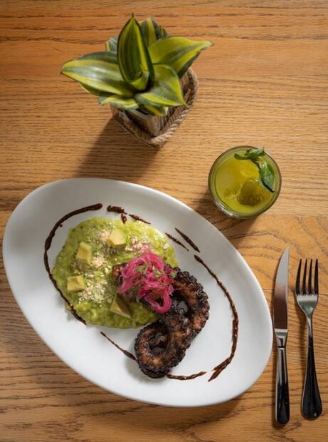 Zea Bistro, platillos “a la francesa” con productos mexicanos