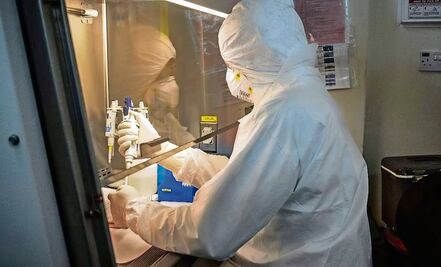 A 3 años del Covid, ¿cuál es su origen?