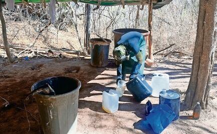 Contra el fentanilo, ¿basta con el poder de la familia?