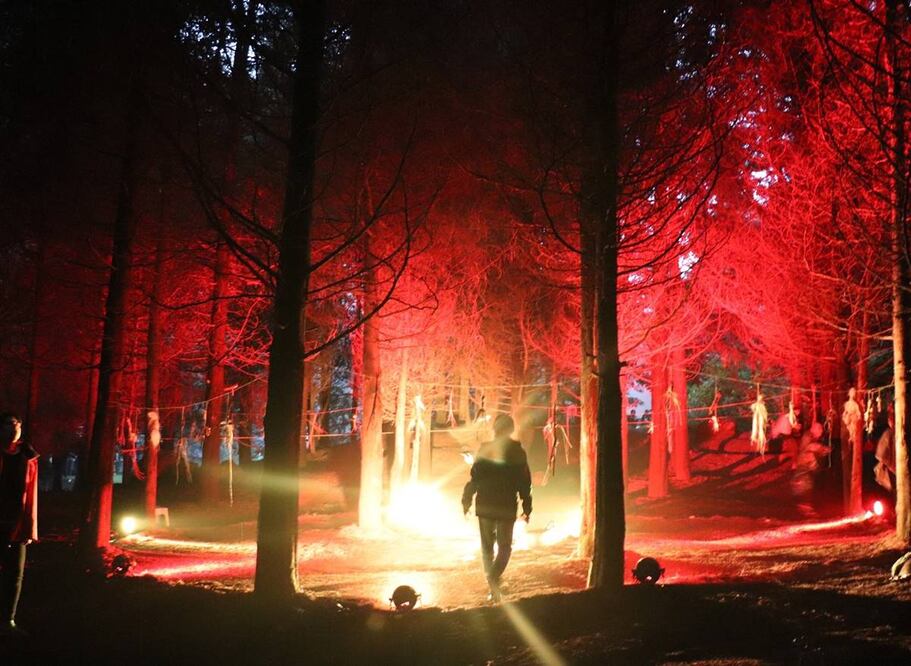 Foto: Proyecto Noctambulante