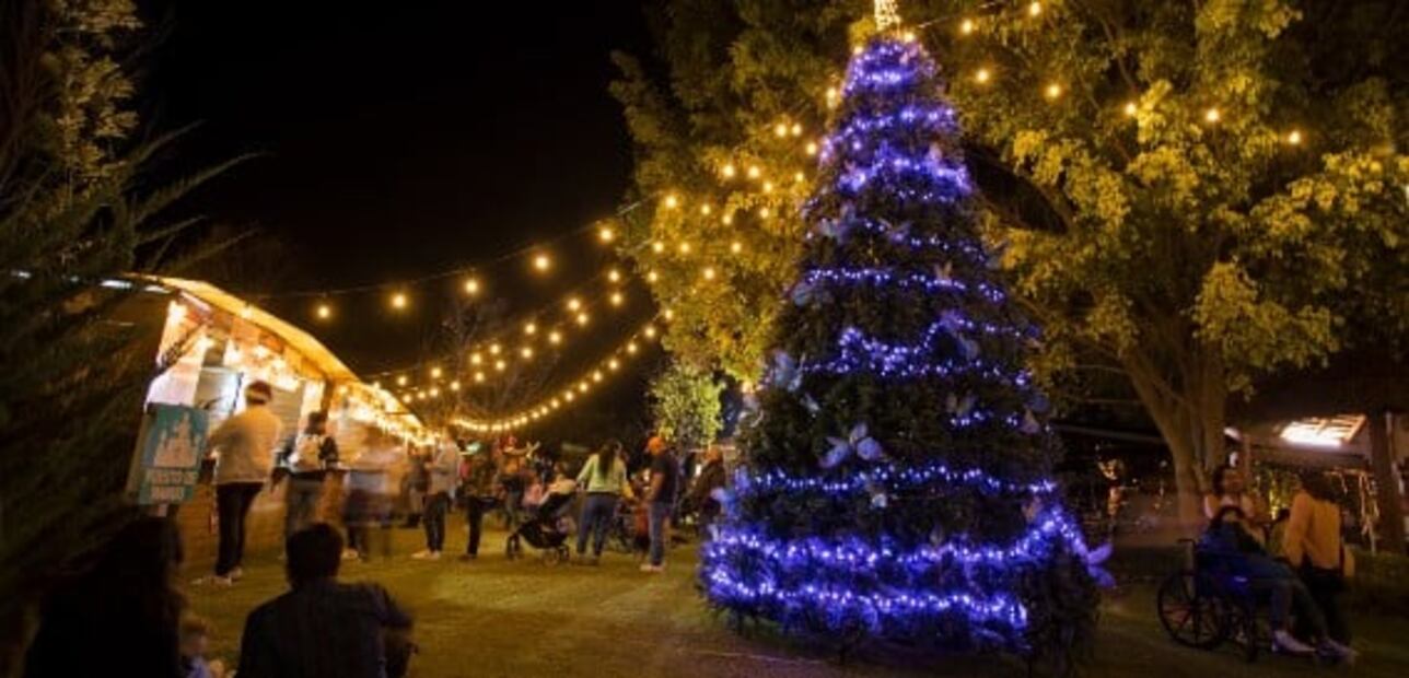 Jardines de México ofrece tours nocturnos por las fiestas decembrinas