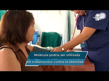 Investigadora mexicana descubre una molécula que podría combatir la obesidad eficazmente