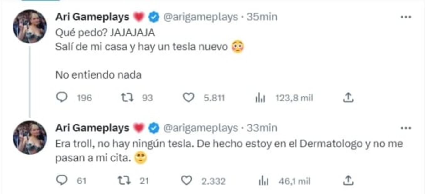 ¿Ari Gameplays y Elon Musk son amigos?
