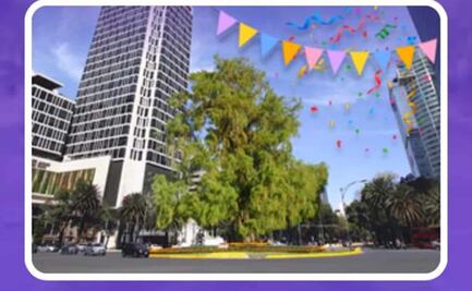 ¡Anota el día! Anuncian fecha para colocar el ahuehuete en Reforma