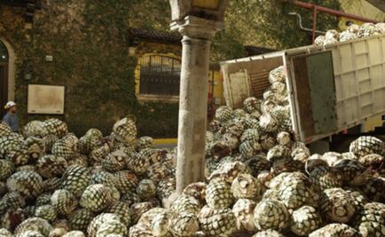 Ford y Jose Cuervo desarrollan autopartes con materiales sustentables