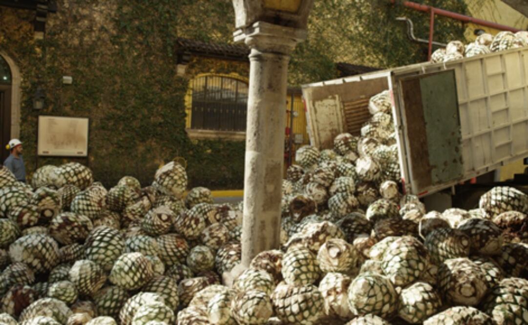 Ford y Jose Cuervo desarrollan autopartes con materiales sustentables