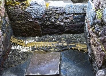 Descubren al “Monstruo de la tierra” en ofrendas del Templo Mayor