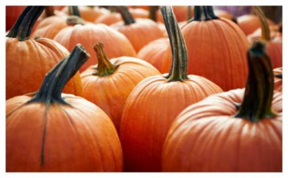 10 vegetales que debes comer