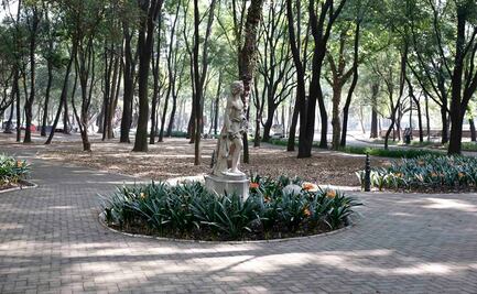 ¿A dónde fue a parar el Plan Maestro de Chapultepec?