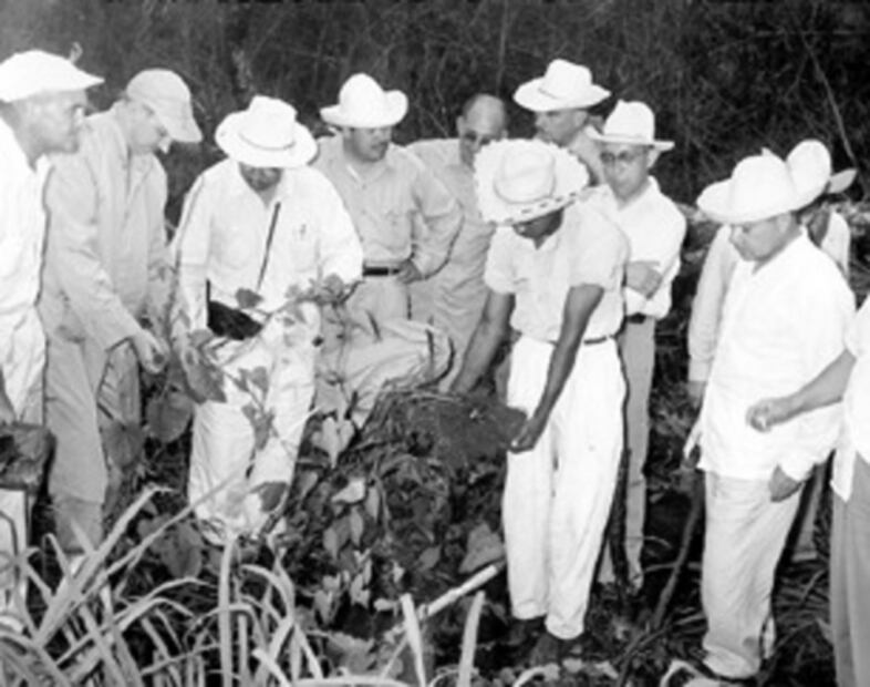 Aborto: orígenes prehispánicos