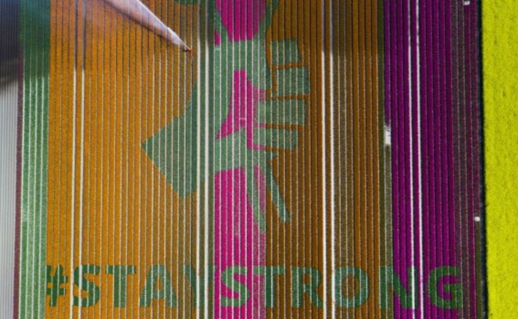 Sobre campo de tulipanes de Holanda dibujan mensaje de esperanza