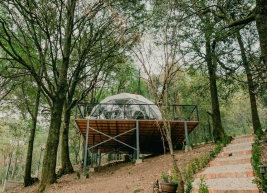 Avezasul, un glamping en el bosque a una hora y media de CDMX