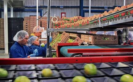 Preocupan a Concamin restricciones en exportación y suspensión de revisiones sanitarias por Apecic