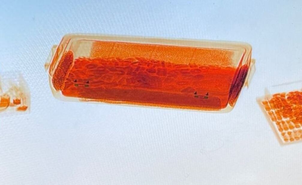 Aseguran 58 mil 484 pastillas de fentanilo ocultas en una hielera en Sonora