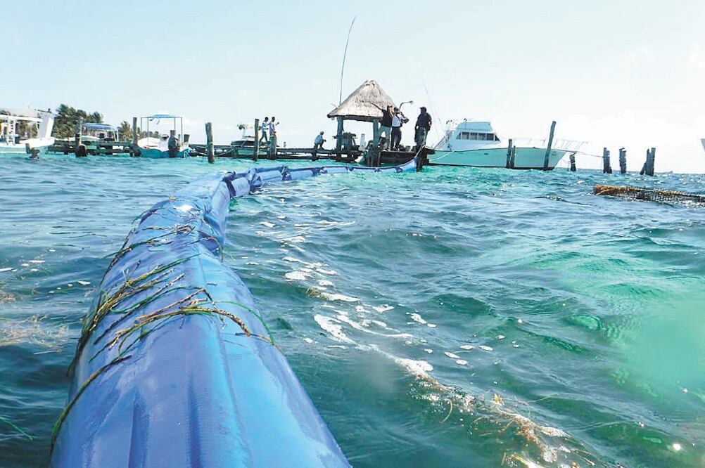 Puerto Morelos fue el primer municipio en instalar las barreras para contener la llegada del sargazo a la playa. Ahora la medida ya la aplican también en el ayuntamiento de Solidaridad, cuyo territorio incluye Playa del Carmen. Foto: CORTESÍA